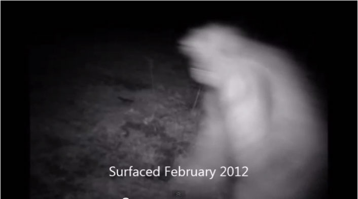 alleged bigfoot trail cam photo February 2012